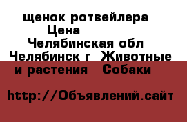 щенок ротвейлера › Цена ­ 15 000 - Челябинская обл., Челябинск г. Животные и растения » Собаки   